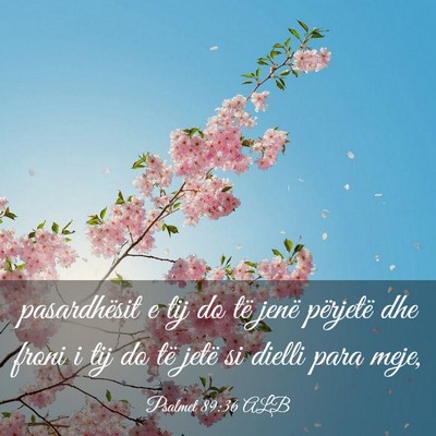 Picture 03 - Psalmet 89:36 ALB - pasardhësit e tij do të jenë përjetë dhe - Bible Verse Picture