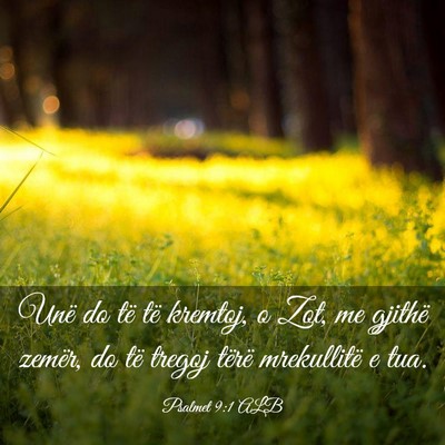 Picture 03 - Psalmet 9:1 ALB - Unë do të të kremtoj, o Zot, me gjithë - Bible Verse Picture