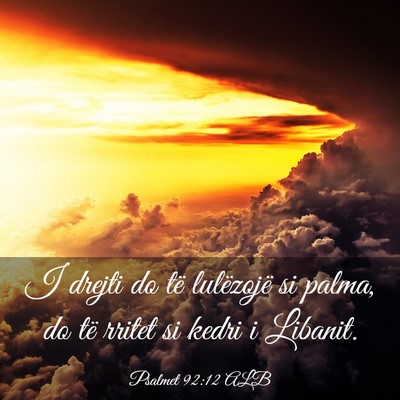 Picture 03 - Psalmet 92:12 ALB - I drejti do të lulëzojë si palma, do të - Bible Verse Picture