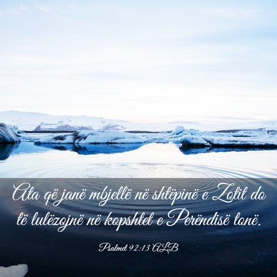 Picture 03 - Psalmet 92:13 ALB - Ata që janë mbjellë në shtëpinë e Zotit do - Bible Verse Picture