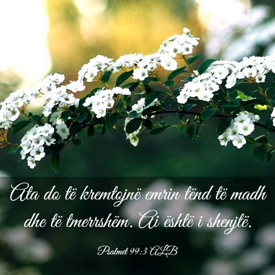 Picture 03 - Psalmet 99:3 ALB - Ata do të kremtojnë emrin tënd të madh dhe - Bible Verse Picture