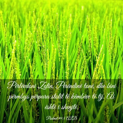 Picture 03 - Psalmet 99:5 ALB - Përlëvdoni Zotin, Perëndinë tonë, dhe bini - Bible Verse Picture