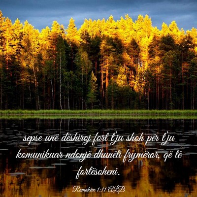 Picture 03 - Romakëve 1:11 ALB - sepse unë dëshiroj fort t’ju shoh për t’ju - Bible Verse Picture