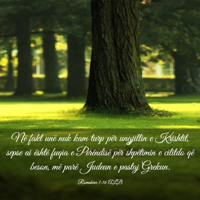 Picture 03 - Romakëve 1:16 ALB - Në fakt unë nuk kam turp për ungjillin e - Bible Verse Picture