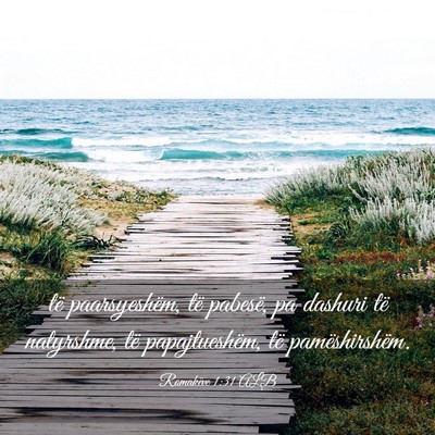 Picture 03 - Romakëve 1:31 ALB - të paarsyeshëm, të pabesë, pa dashuri të - Bible Verse Picture