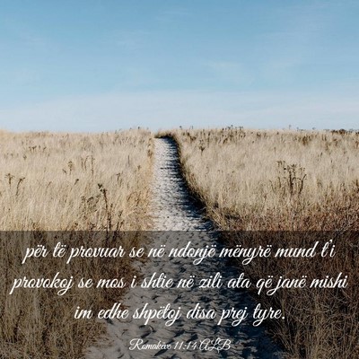 Picture 03 - Romakëve 11:14 ALB - për të provuar se në ndonjë mënyrë mund - Bible Verse Picture