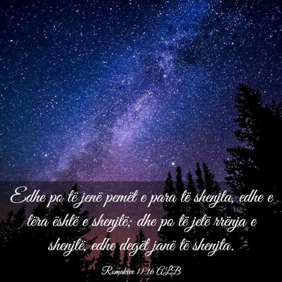 Picture 03 - Romakëve 11:16 ALB - Edhe po të jenë pemët e para të shenjta, edhe - Bible Verse Picture