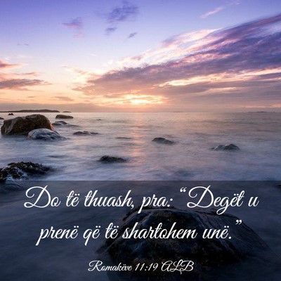 Picture 03 - Romakëve 11:19 ALB - Do të thuash, pra: “Degët u prenë që të - Bible Verse Picture