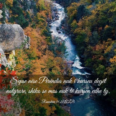 Picture 03 - Romakëve 11:21 ALB - Sepse nëse Perëndia nuk i kurseu degët - Bible Verse Picture