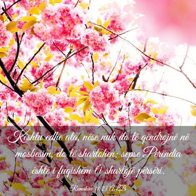 Picture 03 - Romakëve 11:23 ALB - Kështu edhe ata, nëse nuk do të qëndrojnë - Bible Verse Picture