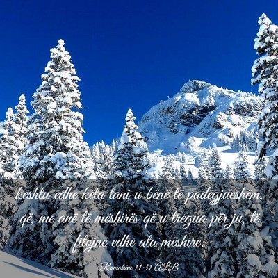 Picture 03 - Romakëve 11:31 ALB - kështu edhe këta tani u bënë të - Bible Verse Picture