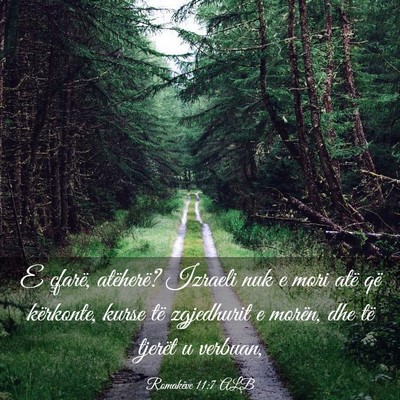 Picture 03 - Romakëve 11:7 ALB - E çfarë, atëherë? Izraeli nuk e mori atë që - Bible Verse Picture