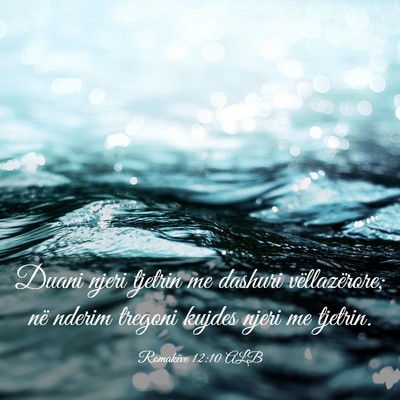Picture 03 - Romakëve 12:10 ALB - Duani njeri tjetrin me dashuri vëllazërore; në - Bible Verse Picture