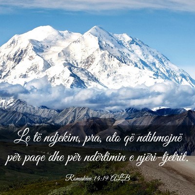 Picture 03 - Romakëve 14:19 ALB - Le të ndjekim, pra, ato që ndihmojnë për paqe - Bible Verse Picture