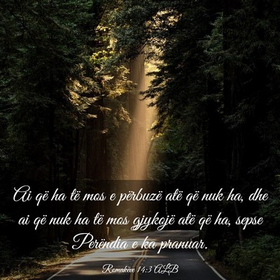 Picture 03 - Romakëve 14:3 ALB - Ai që ha të mos e përbuzë atë që nuk ha, - Bible Verse Picture