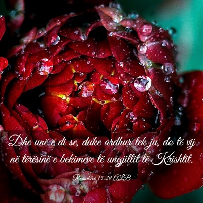 Picture 03 - Romakëve 15:29 ALB - Dhe unë e di se, duke ardhur tek ju, do të vij - Bible Verse Picture