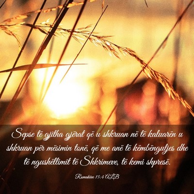 Picture 03 - Romakëve 15:4 ALB - Sepse të gjitha gjërat që u shkruan në të - Bible Verse Picture