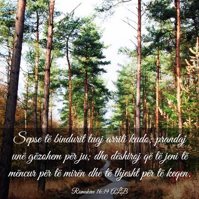 Picture 03 - Romakëve 16:19 ALB - Sepse të bindurit tuaj arriti kudo; prandaj unë - Bible Verse Picture