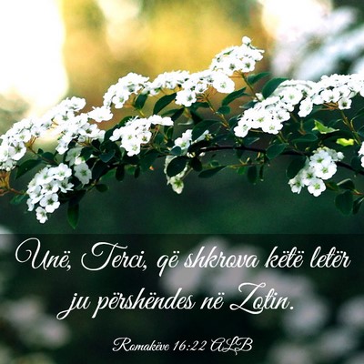 Picture 03 - Romakëve 16:22 ALB - Unë, Terci, që shkrova këtë letër ju - Bible Verse Picture