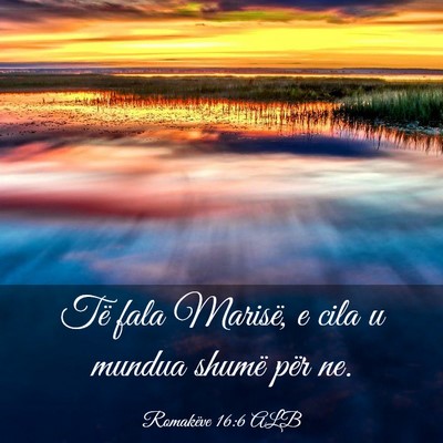 Picture 03 - Romakëve 16:6 ALB - Të fala Marisë, e cila u mundua shumë për - Bible Verse Picture
