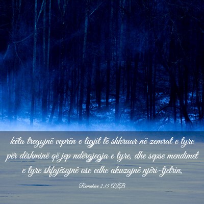 Picture 03 - Romakëve 2:15 ALB - këta tregojnë veprën e ligjit të shkruar në - Bible Verse Picture