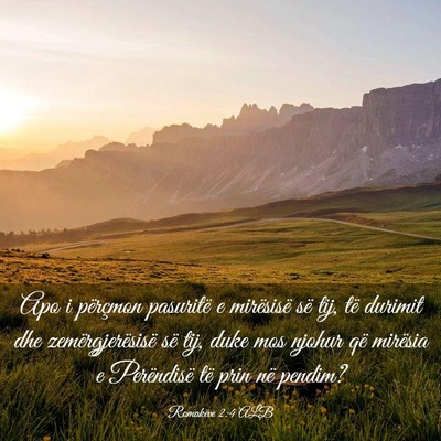 Picture 03 - Romakëve 2:4 ALB - Apo i përçmon pasuritë e mirësisë së tij, - Bible Verse Picture