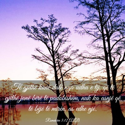 Picture 03 - Romakëve 3:12 ALB - Të gjithë kanë dalë nga udha e tij, që të - Bible Verse Picture