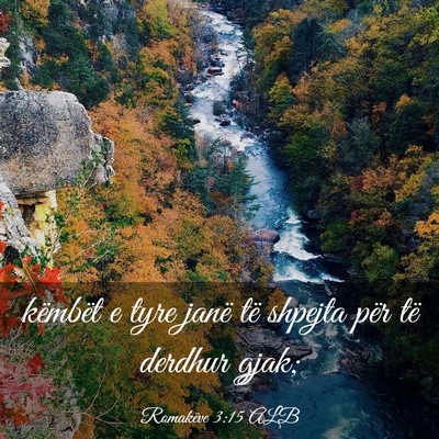 Picture 03 - Romakëve 3:15 ALB - këmbët e tyre janë të shpejta për të - Bible Verse Picture
