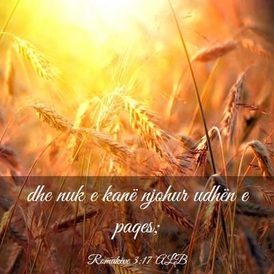 Picture 03 - Romakëve 3:17 ALB - dhe nuk e kanë njohur udhën e - Bible Verse Picture