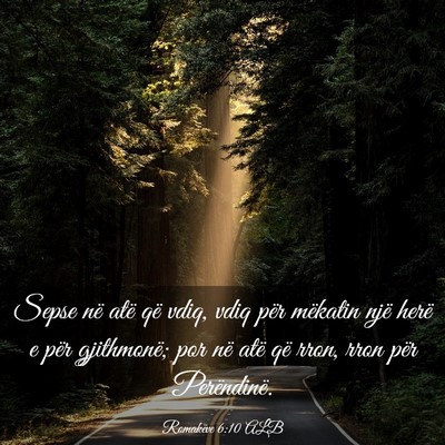 Picture 03 - Romakëve 6:10 ALB - Sepse në atë që vdiq, vdiq për mëkatin një - Bible Verse Picture