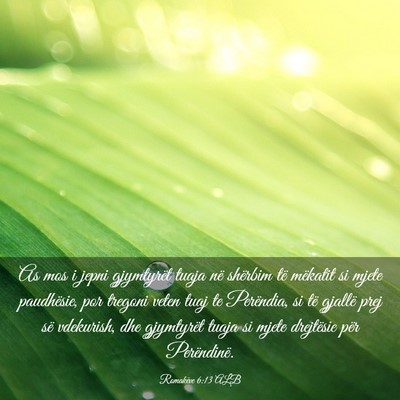 Picture 03 - Romakëve 6:13 ALB - As mos i jepni gjymtyrët tuaja në shërbim të - Bible Verse Picture