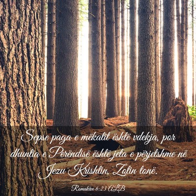 Picture 03 - Romakëve 6:23 ALB - Sepse paga e mëkatit është vdekja, por dhuntia - Bible Verse Picture