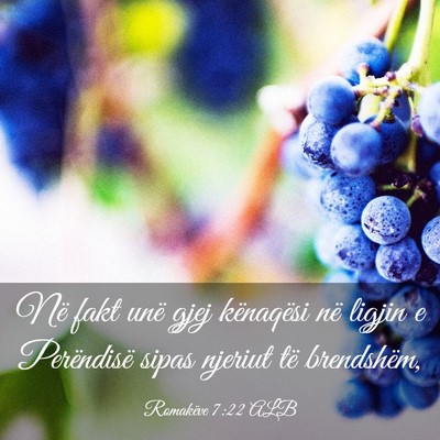 Picture 03 - Romakëve 7:22 ALB - Në fakt unë gjej kënaqësi në ligjin e - Bible Verse Picture