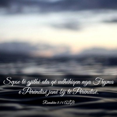 Picture 03 - Romakëve 8:14 ALB - Sepse të gjithë ata që udhëhiqen nga Fryma e - Bible Verse Picture