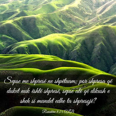 Picture 03 - Romakëve 8:24 ALB - Sepse me shpresë ne shpëtuam; por shpresa që - Bible Verse Picture
