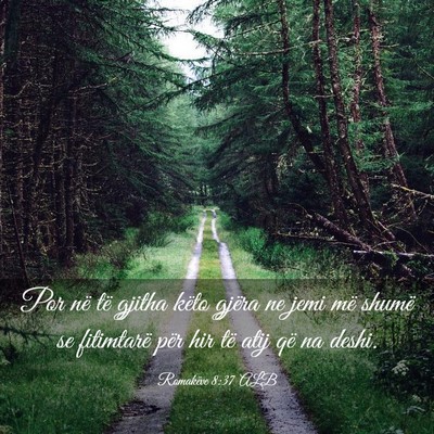 Picture 03 - Romakëve 8:37 ALB - Por në të gjitha këto gjëra ne jemi më - Bible Verse Picture