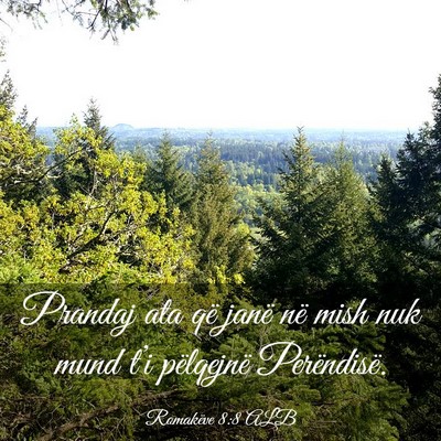Picture 03 - Romakëve 8:8 ALB - Prandaj ata që janë në mish nuk mund t’i - Bible Verse Picture