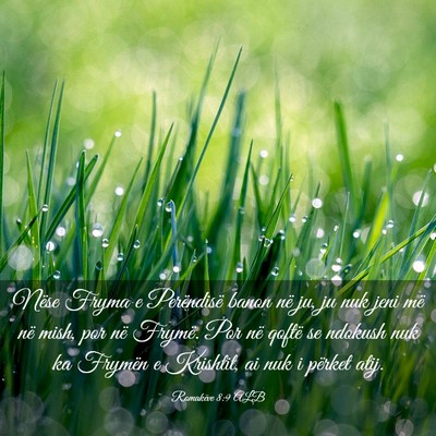 Picture 03 - Romakëve 8:9 ALB - Nëse Fryma e Perëndisë banon në ju, ju nuk - Bible Verse Picture