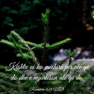 Picture 03 - Romakëve 9:18 ALB - Kështu ai ka mëshirë për atë që do dhe e - Bible Verse Picture