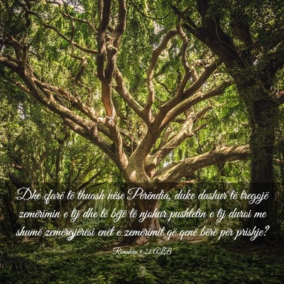 Picture 03 - Romakëve 9:22 ALB - Dhe çfarë të thuash nëse Perëndia, duke - Bible Verse Picture
