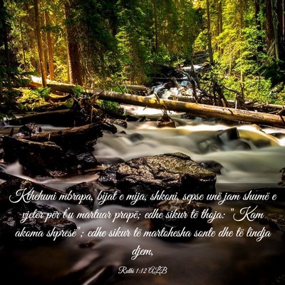 Picture 03 - Ruthi 1:12 ALB - Kthehuni mbrapa, bijat e mija, shkoni, sepse unë - Bible Verse Picture