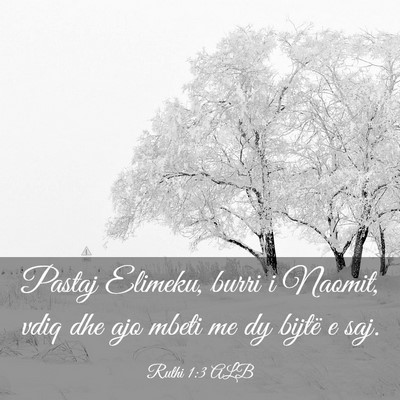 Picture 03 - Ruthi 1:3 ALB - Pastaj Elimeku, burri i Naomit, vdiq dhe ajo - Bible Verse Picture