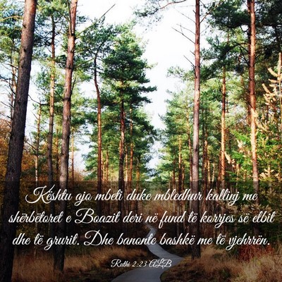 Picture 03 - Ruthi 2:23 ALB - Kështu ajo mbeti duke mbledhur kallinj me - Bible Verse Picture