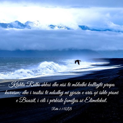 Picture 03 - Ruthi 2:3 ALB - Kështu Ruthi shkoi dhe nisi të mbledhë - Bible Verse Picture
