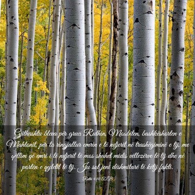 Picture 03 - Ruthi 4:10 ALB - Gjithashtu bleva për grua Ruthin, Moabiten, - Bible Verse Picture