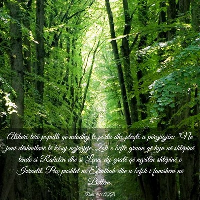 Picture 03 - Ruthi 4:11 ALB - Atëherë tërë populli që ndodhej te porta dhe - Bible Verse Picture