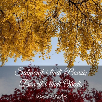 Picture 03 - Ruthi 4:21 ALB - Salmonit i lindi Boazi; Boazit i lindi - Bible Verse Picture