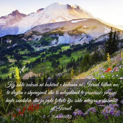 Picture 03 - Ruthi 4:7 ALB - Ky ishte zakoni në kohërat e kaluara në Izrael - Bible Verse Picture