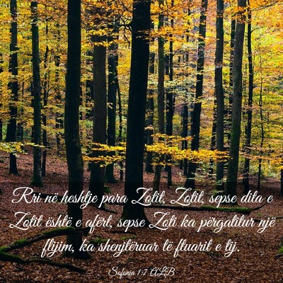 Picture 03 - Sofonia 1:7 ALB - Rri në heshtje para Zotit, Zotit, sepse dita e - Bible Verse Picture
