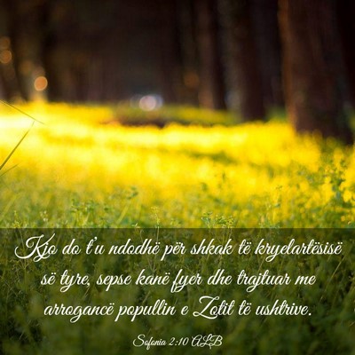 Picture 03 - Sofonia 2:10 ALB - Kjo do t’u ndodhë për shkak të - Bible Verse Picture